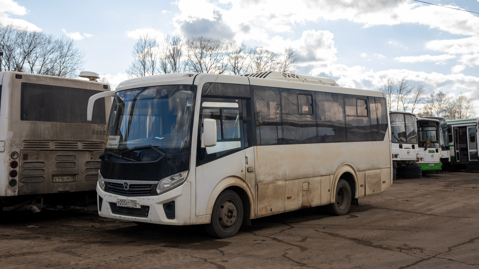 Yaroslavl region, PAZ-320405-04 "Vector Next" (intercity) № 29