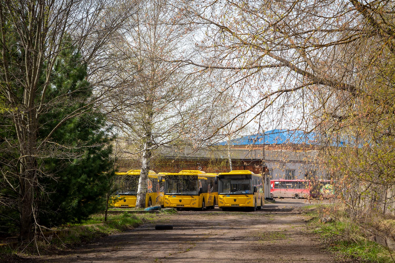 Ярославская область — Новые автобусы