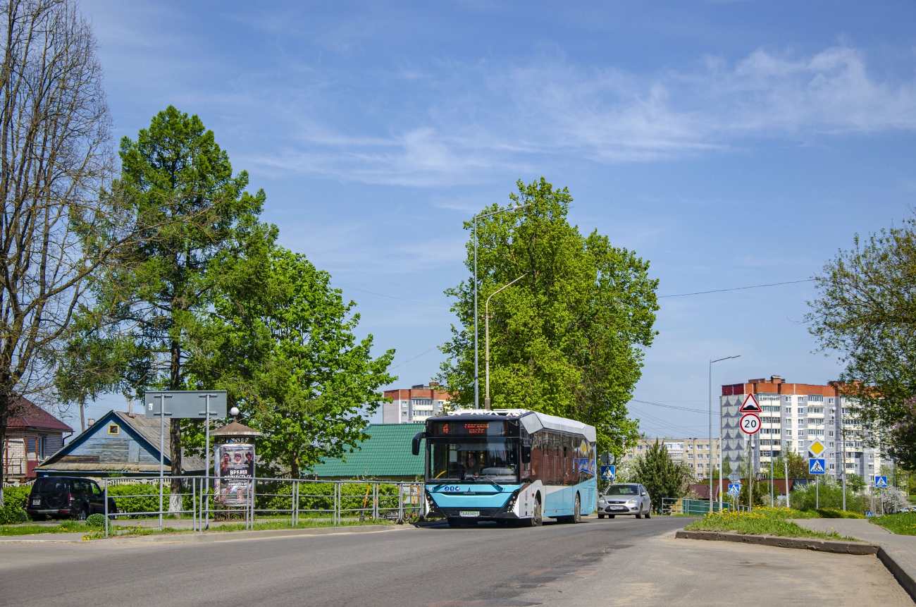 Минская область, МАЗ-303.E22 № АА Е009-5