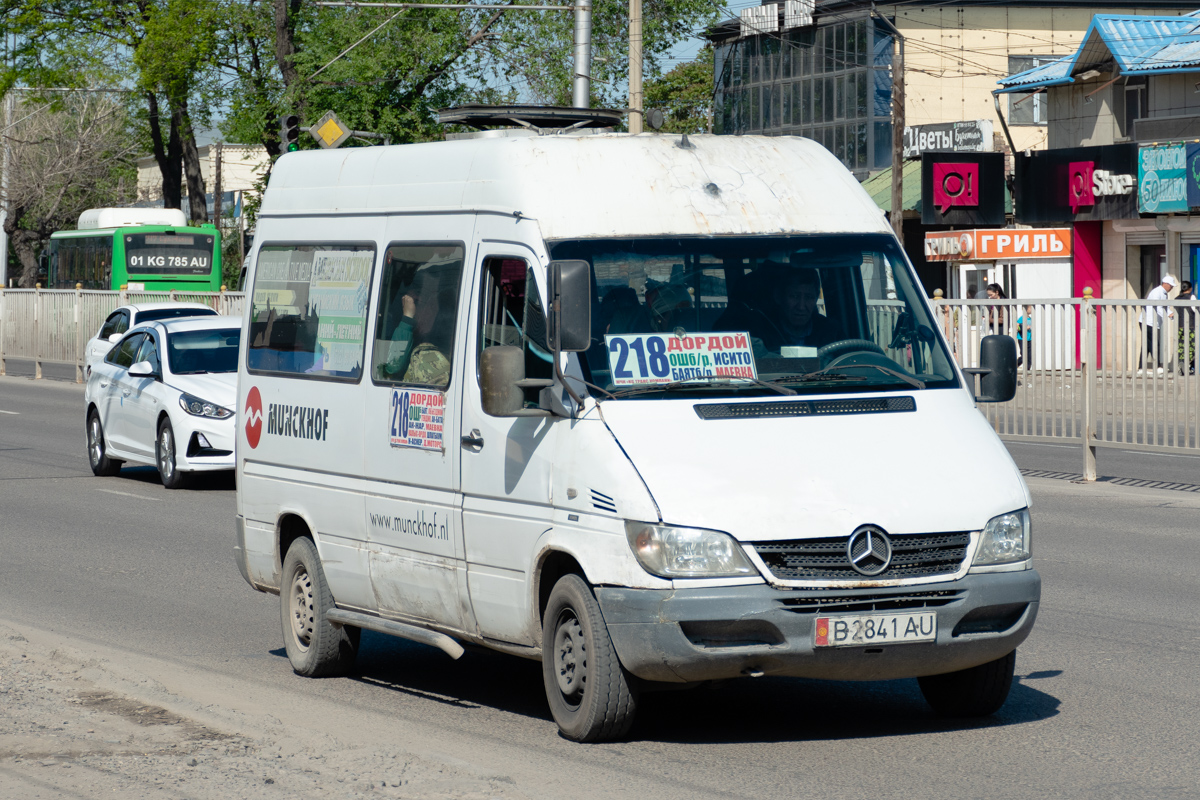 Кыргызстан, Kusters № B 2841 AU