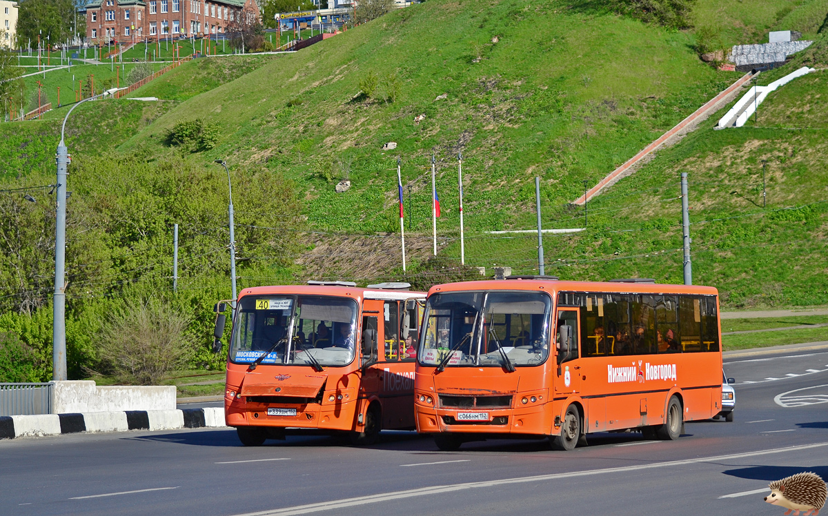 Нижегородская область, ПАЗ-320414-04 "Вектор" № 31002