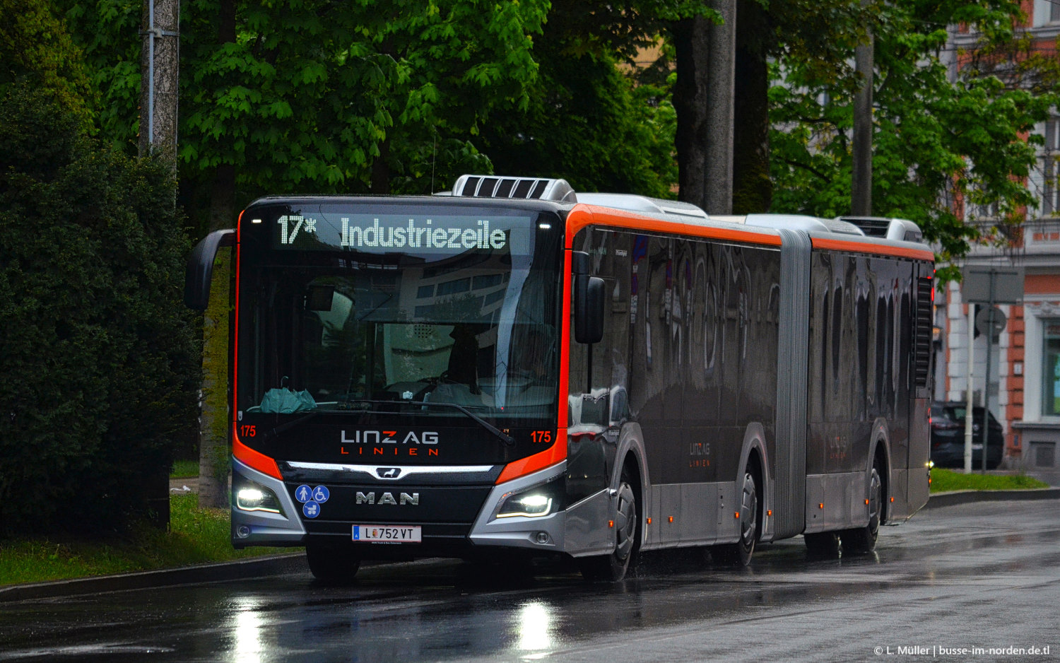 Австрия, MAN 18C Lion's City 18 NG360 EfficientHybrid № 175
