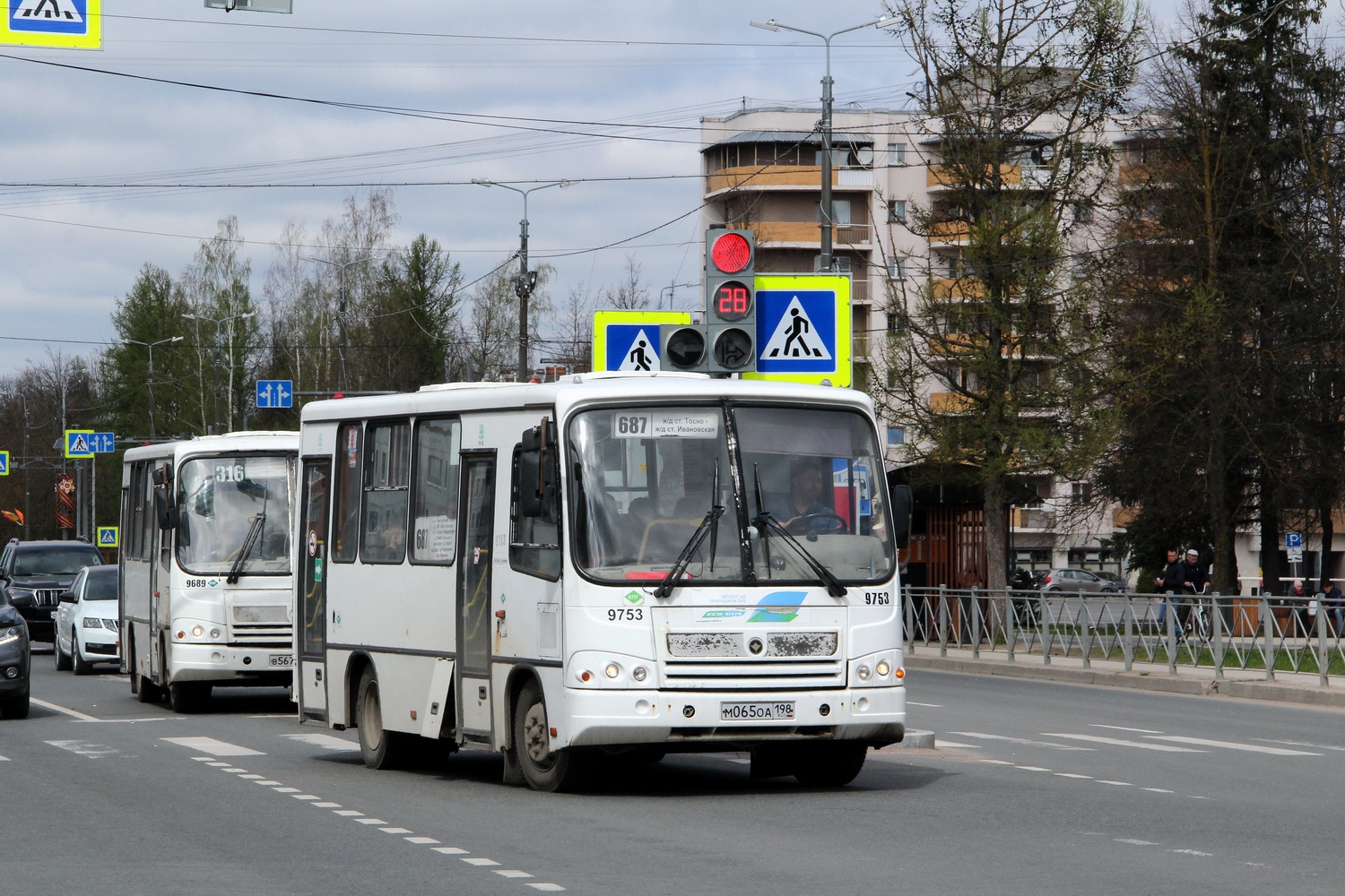 Ленинградская область, ПАЗ-320302-11 № 9753