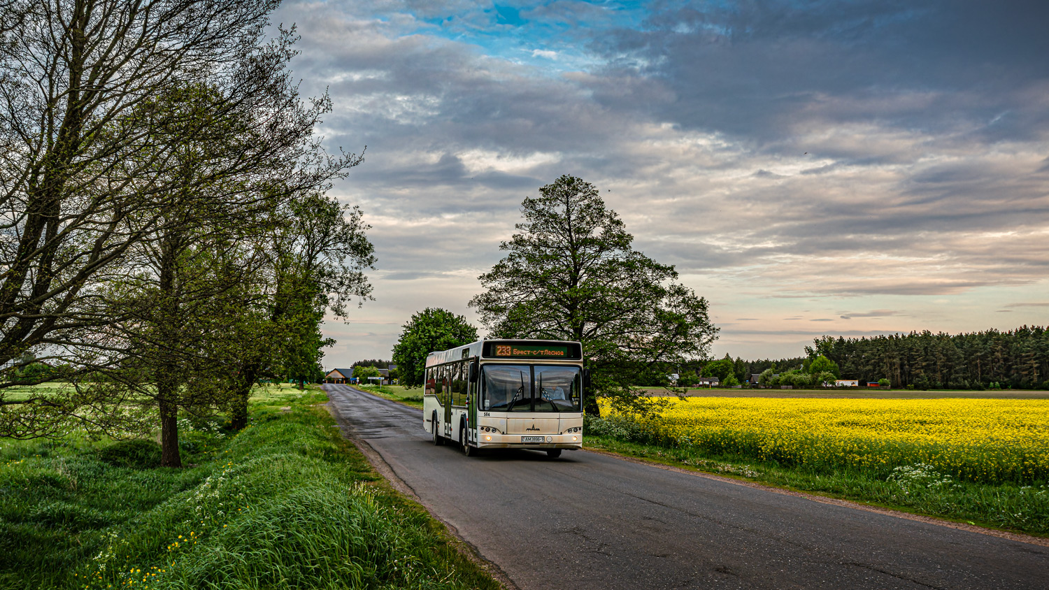 Brestská oblast, MAZ-103.586 č. 584