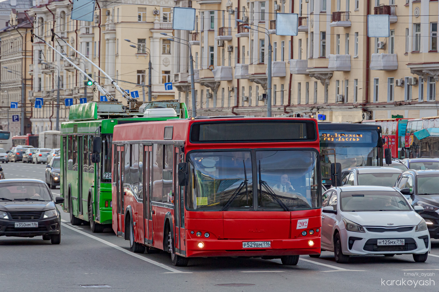 Татарстан, МАЗ-103.465 № 202