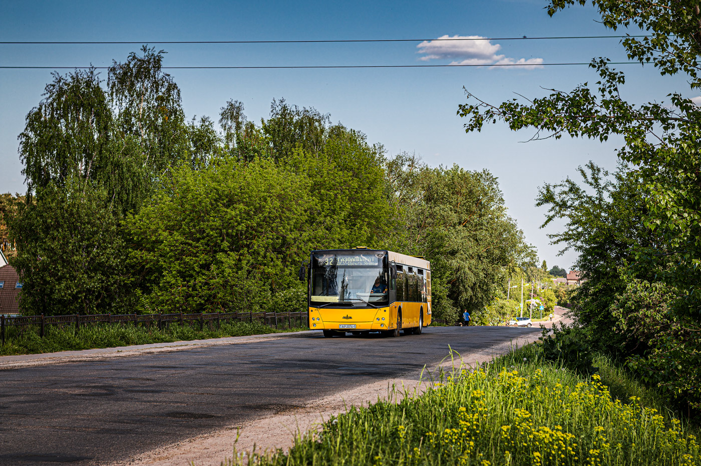 Brest region, MAZ-203.065 # 461