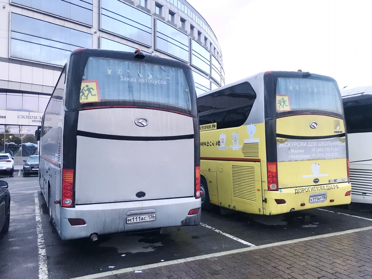 Воронежская область, King Long XMQ6129Y № М 111 АС 136