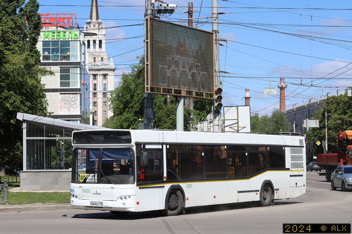 Воронежская область, МАЗ-103.465 № 13020