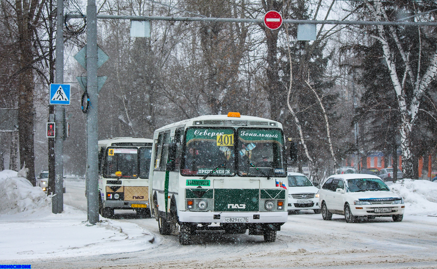 Томская область, ПАЗ-3205-110 № С 829 ЕС 70