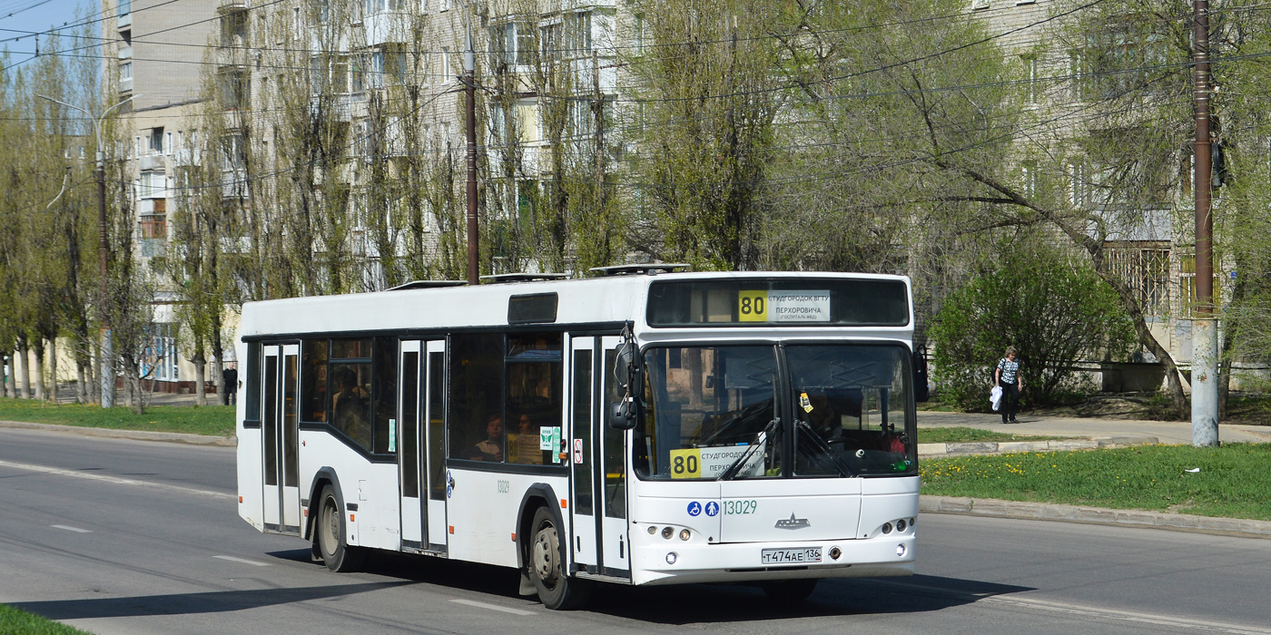 Воронежская область, МАЗ-103.465 № 13029