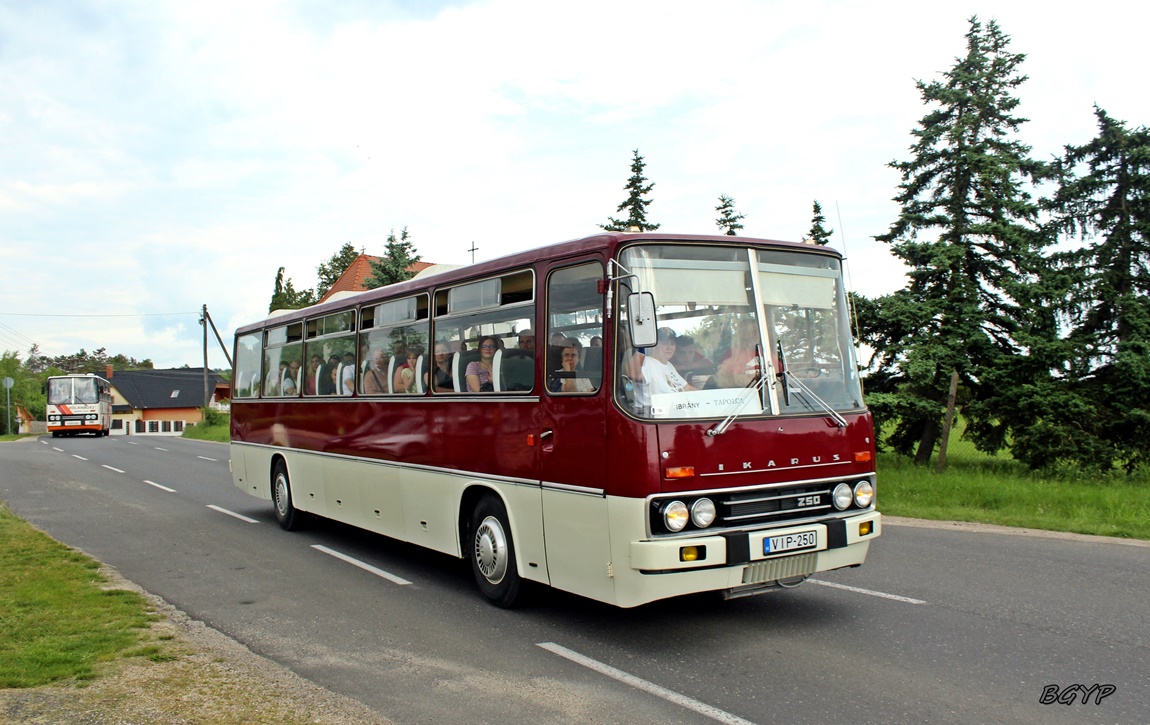 Венгрия, Ikarus 250.01 № VIP-250; Венгрия — IV. Nemzetközi Ikarus Találkozó, Tapolca (2024)