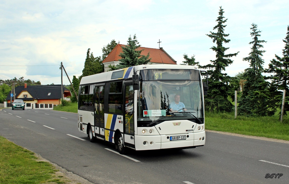 Венгрия, Ikarus EAG E91.53 № AA BP-137; Венгрия — IV. Nemzetközi Ikarus Találkozó, Tapolca (2024)