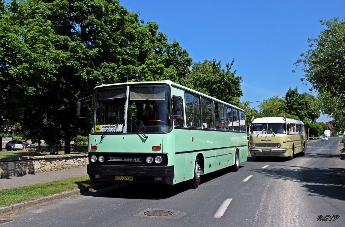 Венгрия, Ikarus 256.42 № DUD-798; Венгрия — IV. Nemzetközi Ikarus Találkozó, Tapolca (2024)