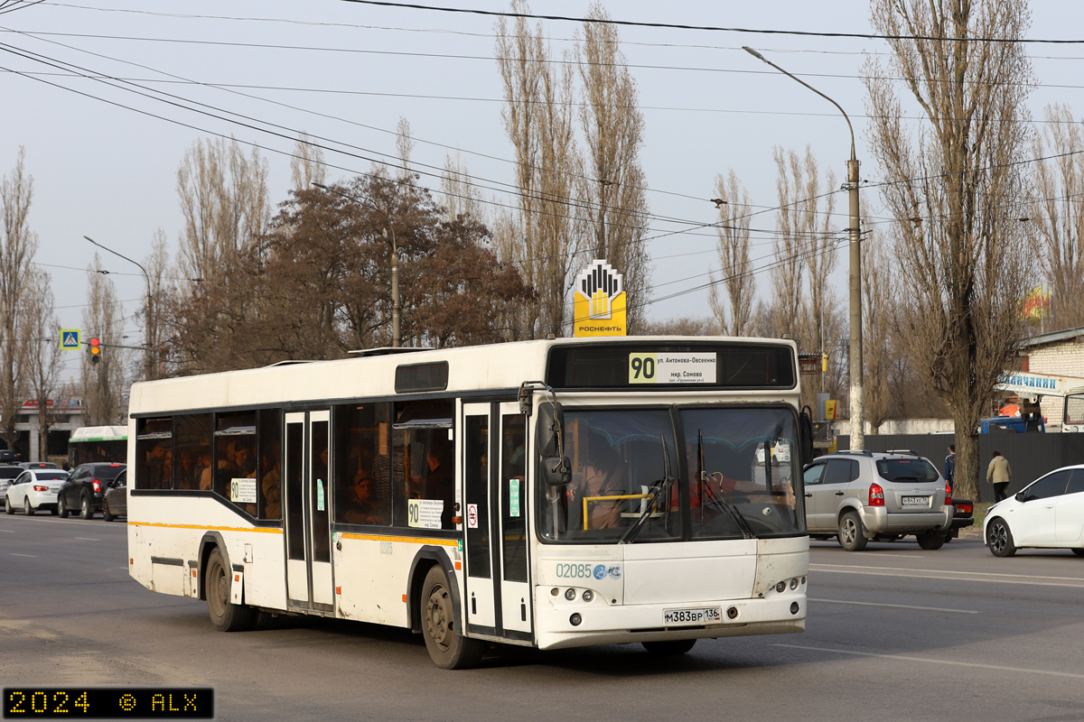 Воронежская область, МАЗ-103.585 № 02085