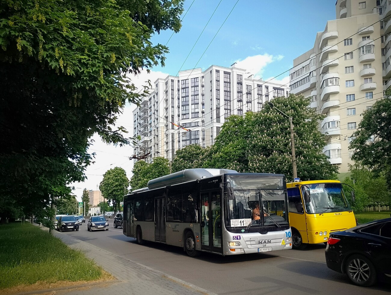 Волынская область, MAN A21 Lion's City NL313 CNG № 10