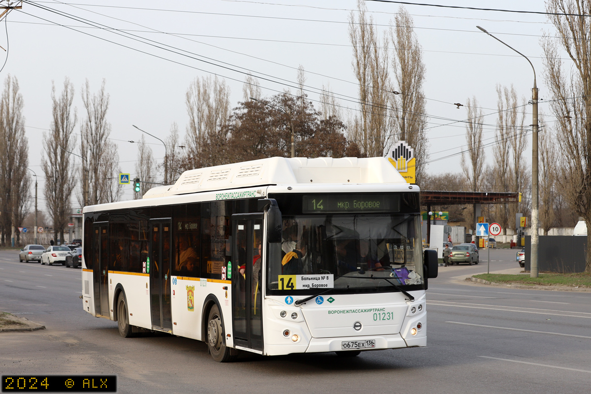 Воронежская область, ЛиАЗ-5292.67 (CNG) № 01231