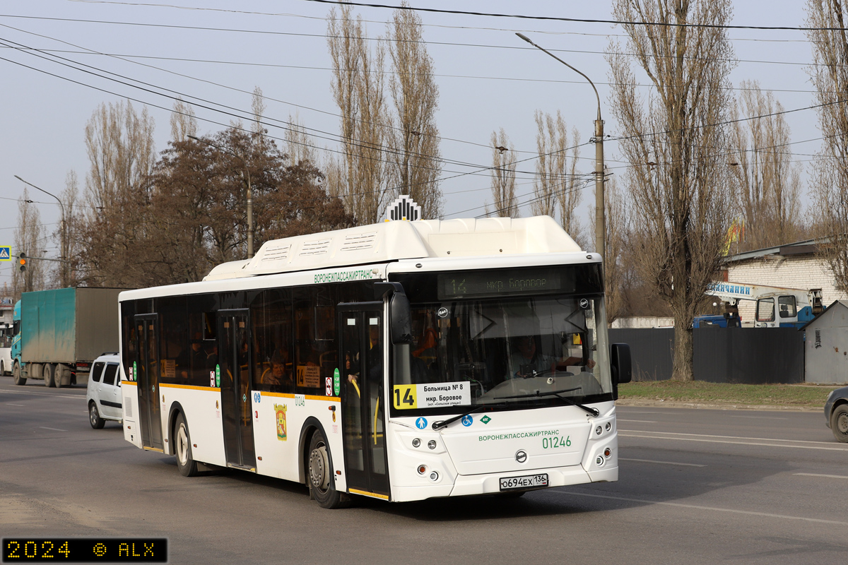 Воронежская область, ЛиАЗ-5292.67 (CNG) № 01246