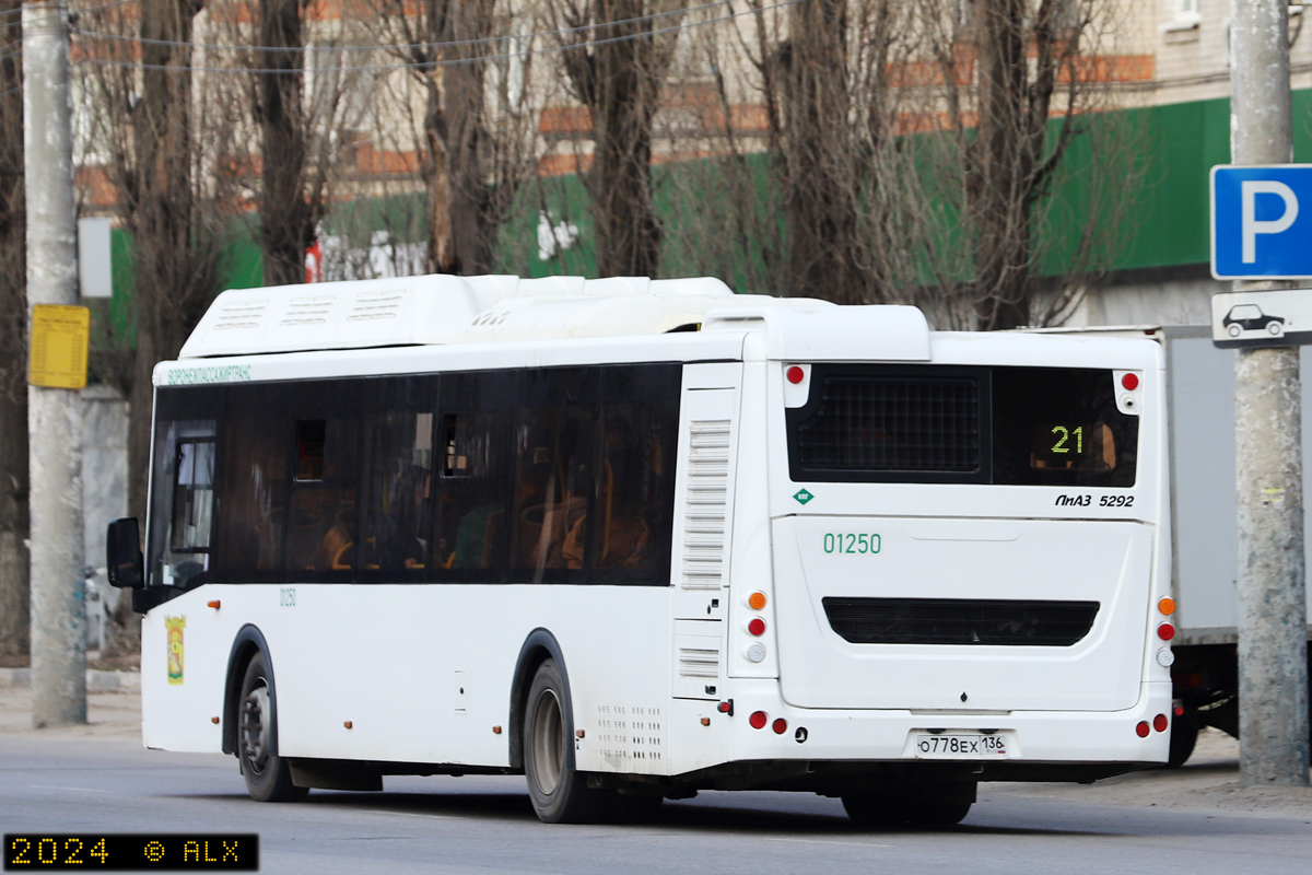 Воронежская область, ЛиАЗ-5292.67 (CNG) № 01250