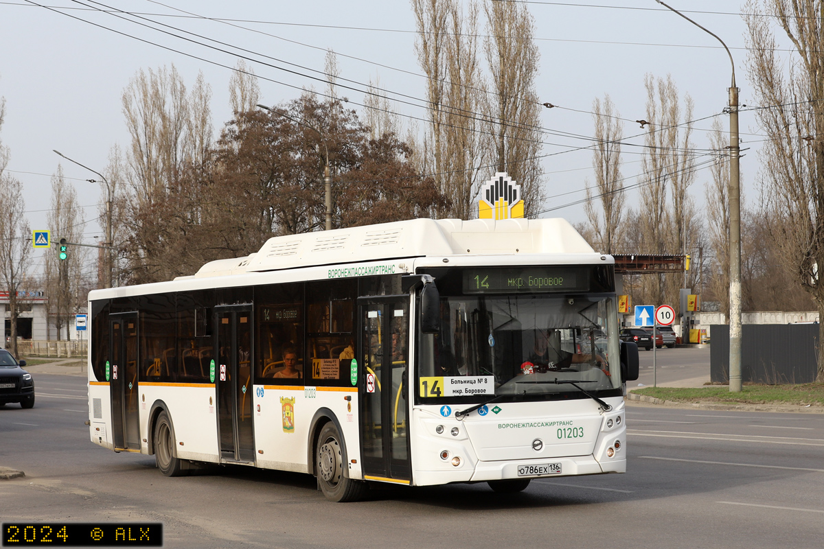 Воронежская область, ЛиАЗ-5292.67 (CNG) № 01203