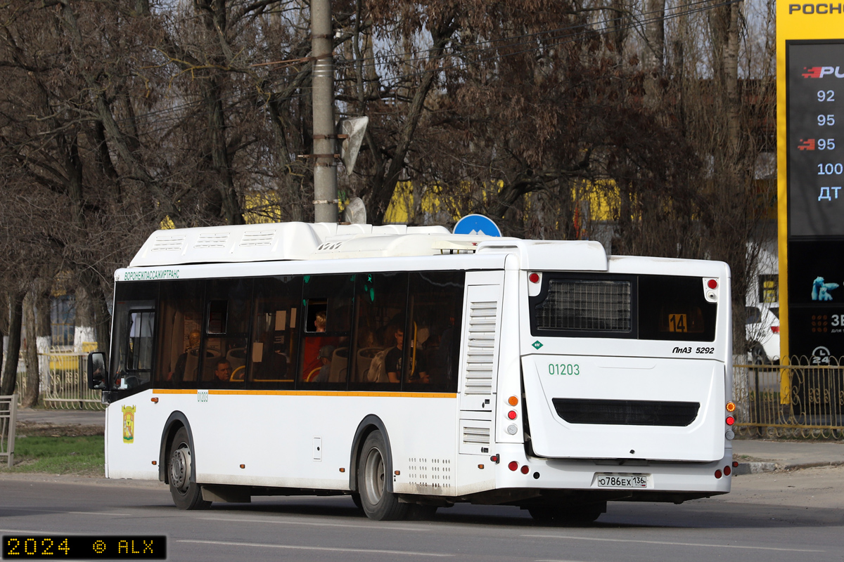 Воронежская область, ЛиАЗ-5292.67 (CNG) № 01203