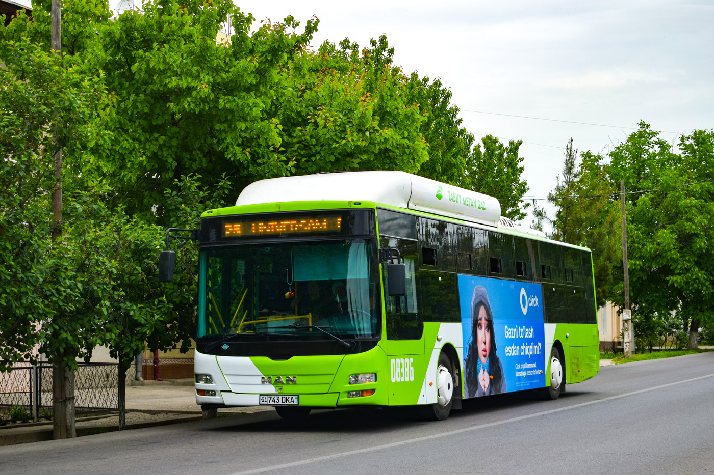 Узбекистан, Gemilang (MAN Auto-Uzbekistan) № 08386