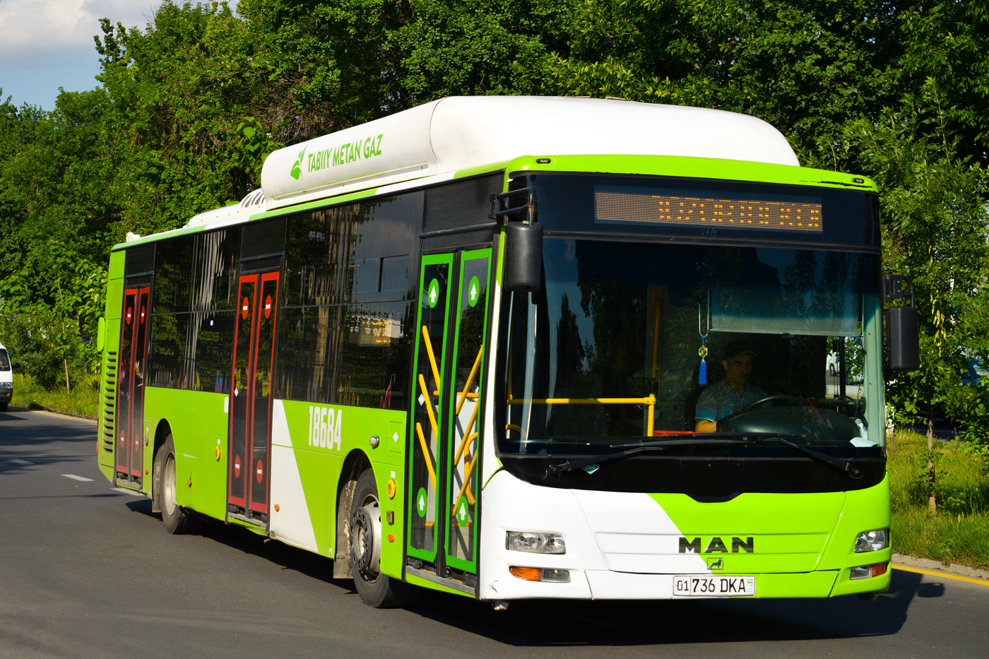 Узбекистан, Gemilang (MAN Auto-Uzbekistan) № 18684