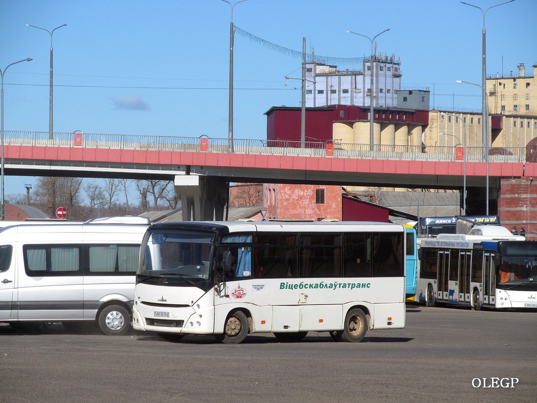 Vitebsk region, MAZ-241.000 # 022977