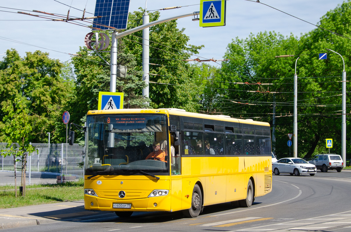 Калининградская область, Mercedes-Benz Intouro II E № С 600 ОР 39