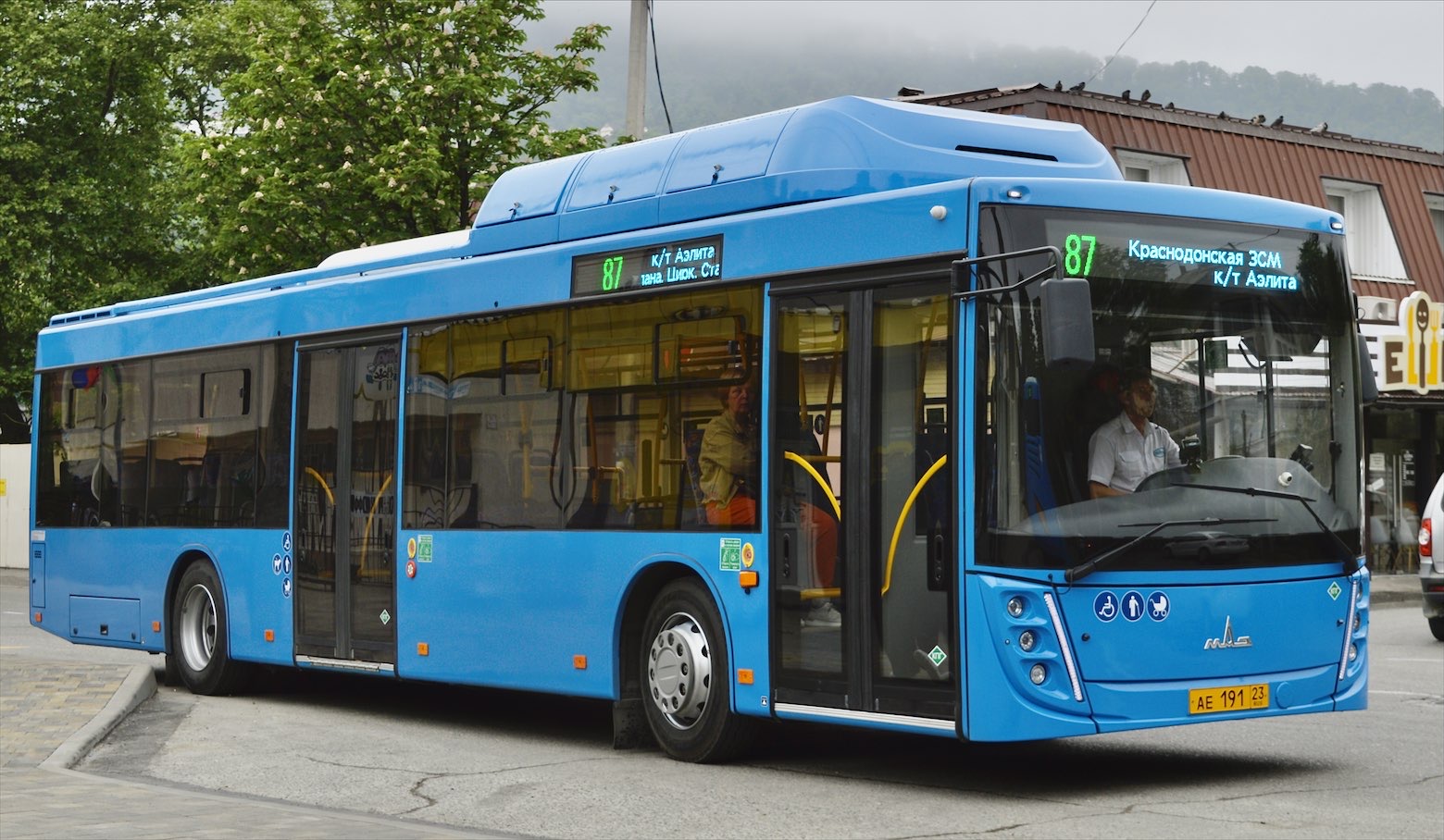 Краснодарский край, МАЗ-203.С65 № 242049