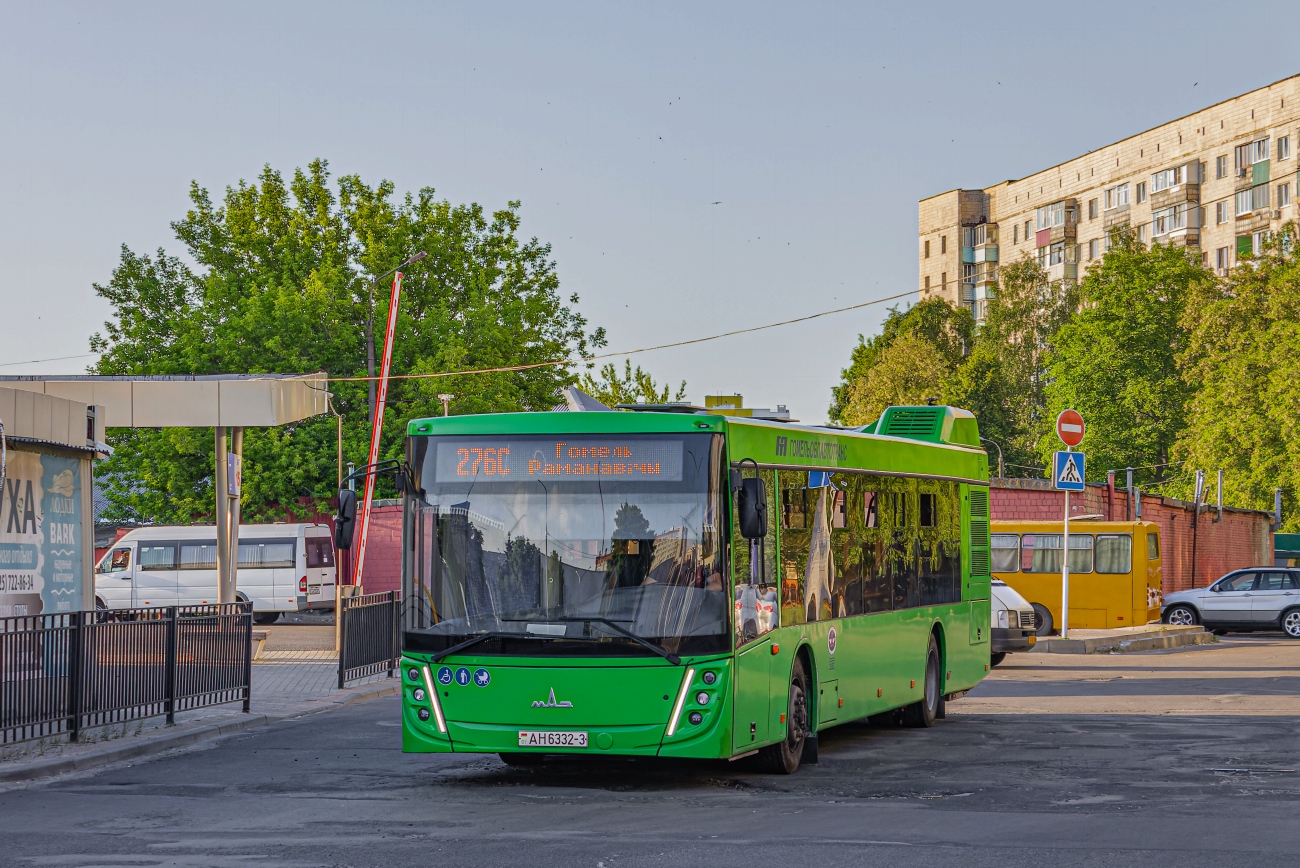 Гомельская область, МАЗ-203.047 № 016225