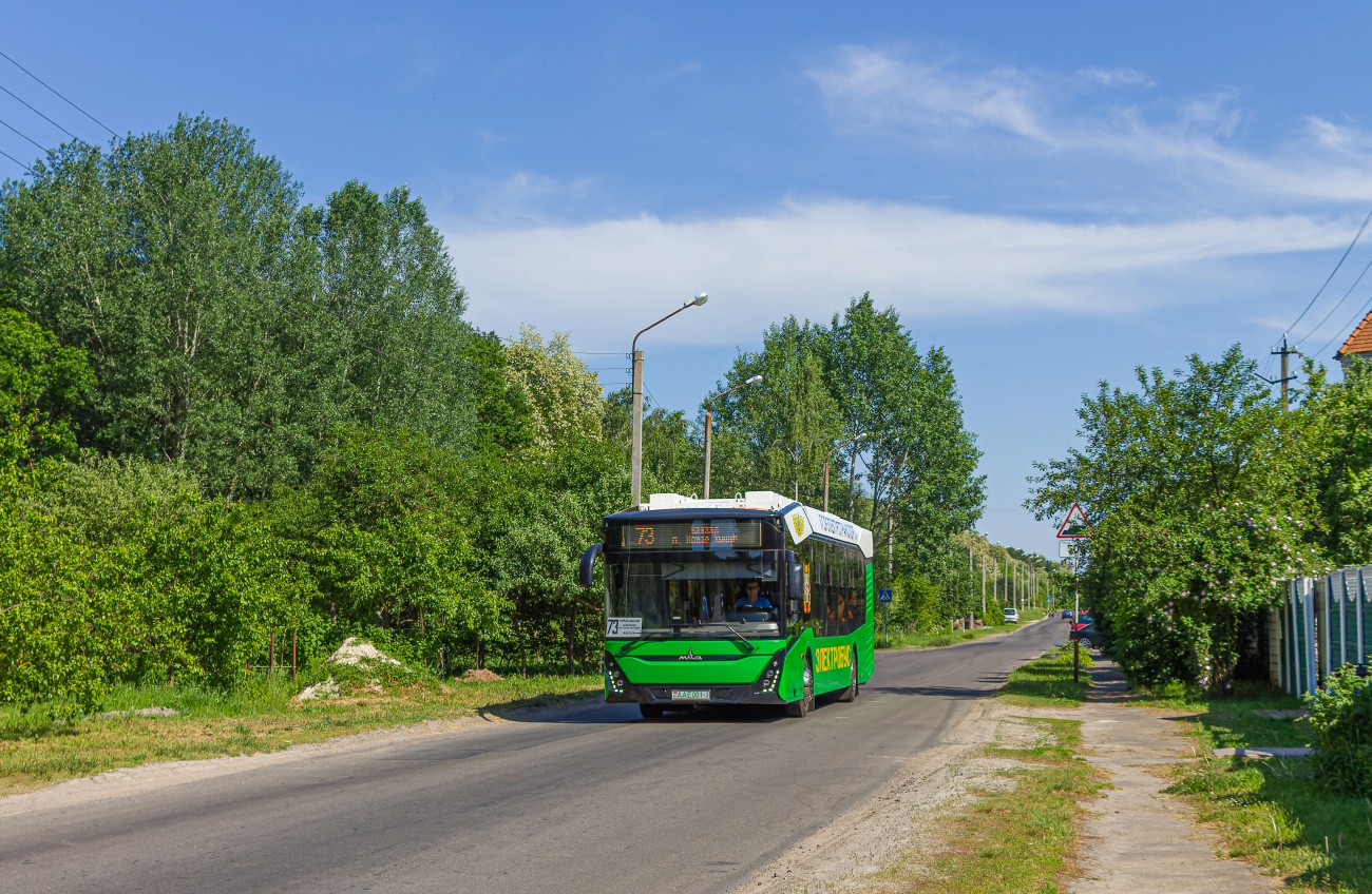 Гомельская область, МАЗ-303.E10 № 1858