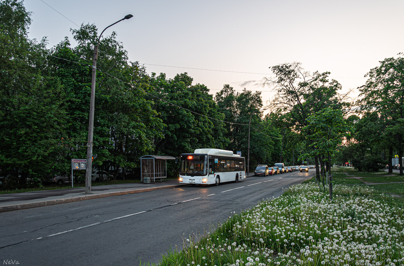 Санкт-Петербург, MAN A21 Lion's City NL313 CNG № 7535