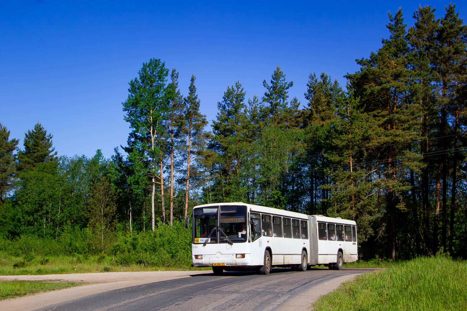 Псковская область, Mercedes-Benz O345G № 698