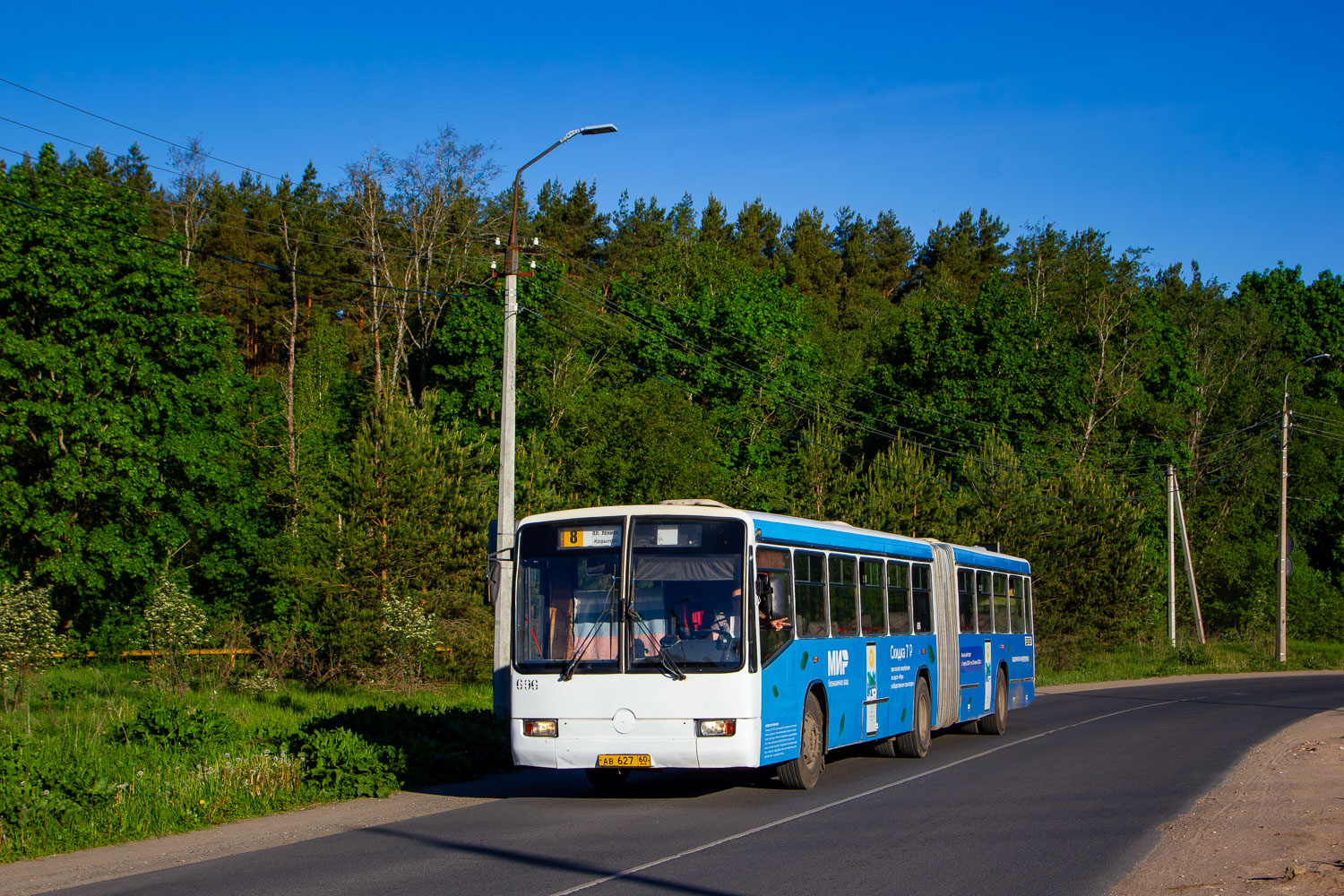 Псковская область, Mercedes-Benz O345G № 696