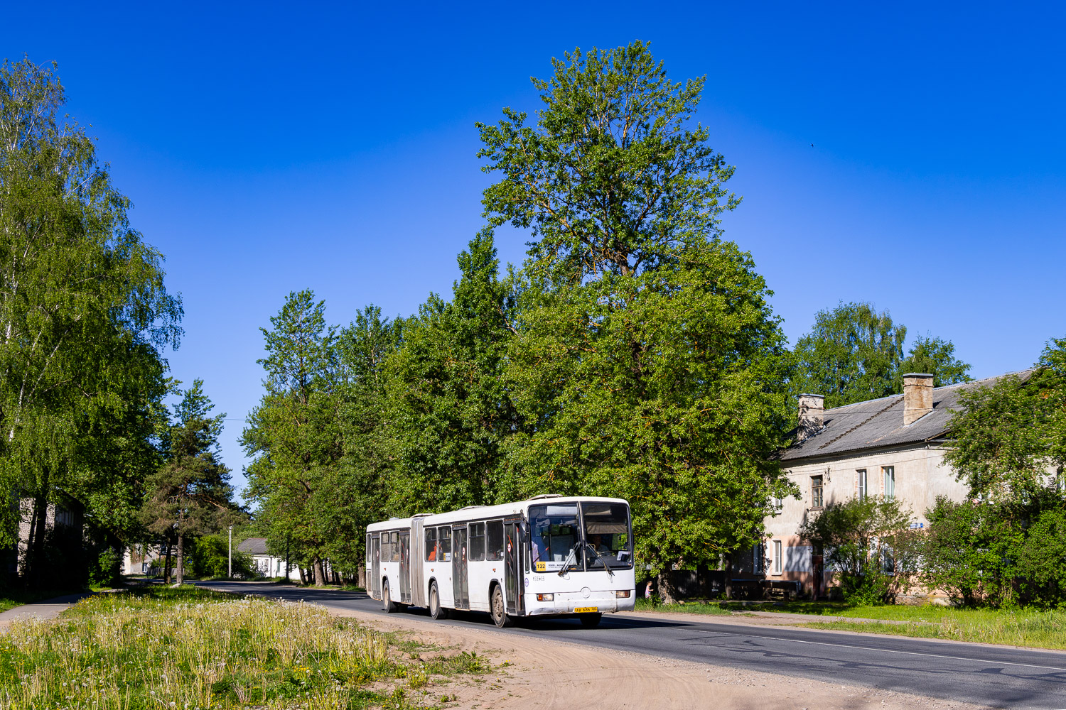 Псковская область, Mercedes-Benz O345G № 698