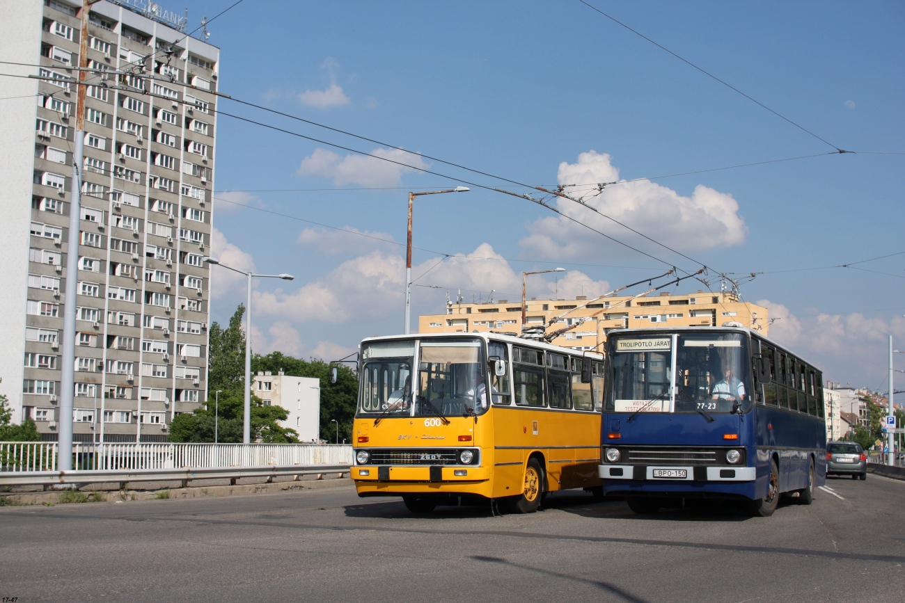 Венгрия, Ikarus 260.45 № 01-50