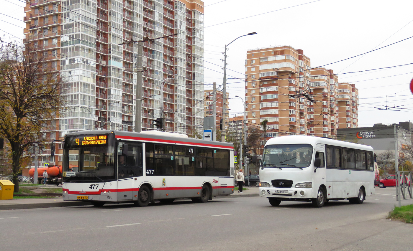 Краснодарский край, МАЗ-206.086 № 477; Краснодарский край, Hyundai County LWB C09 (ТагАЗ) № С 728 МВ 123