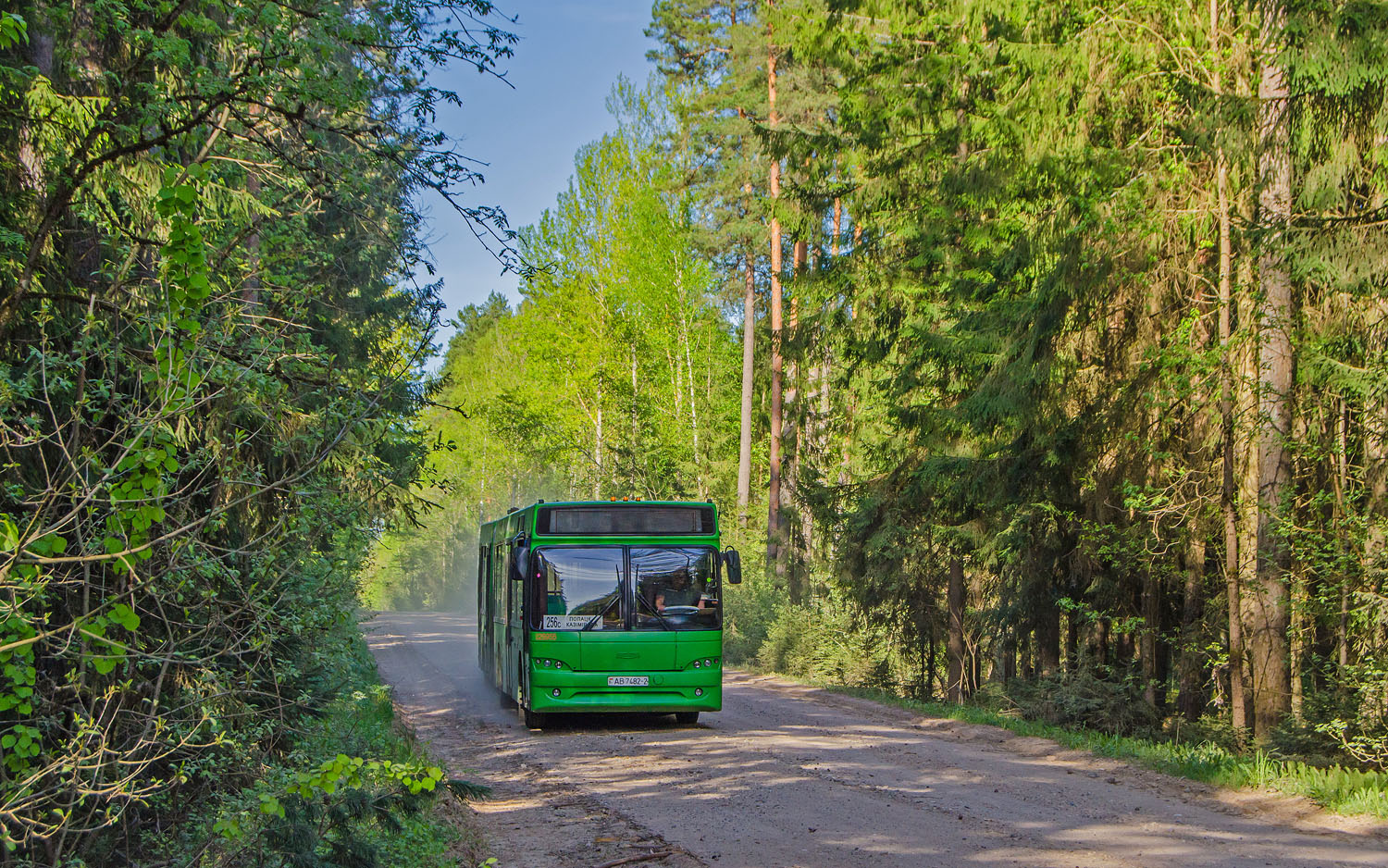 Витебская область, МАЗ-105.465 № 029955