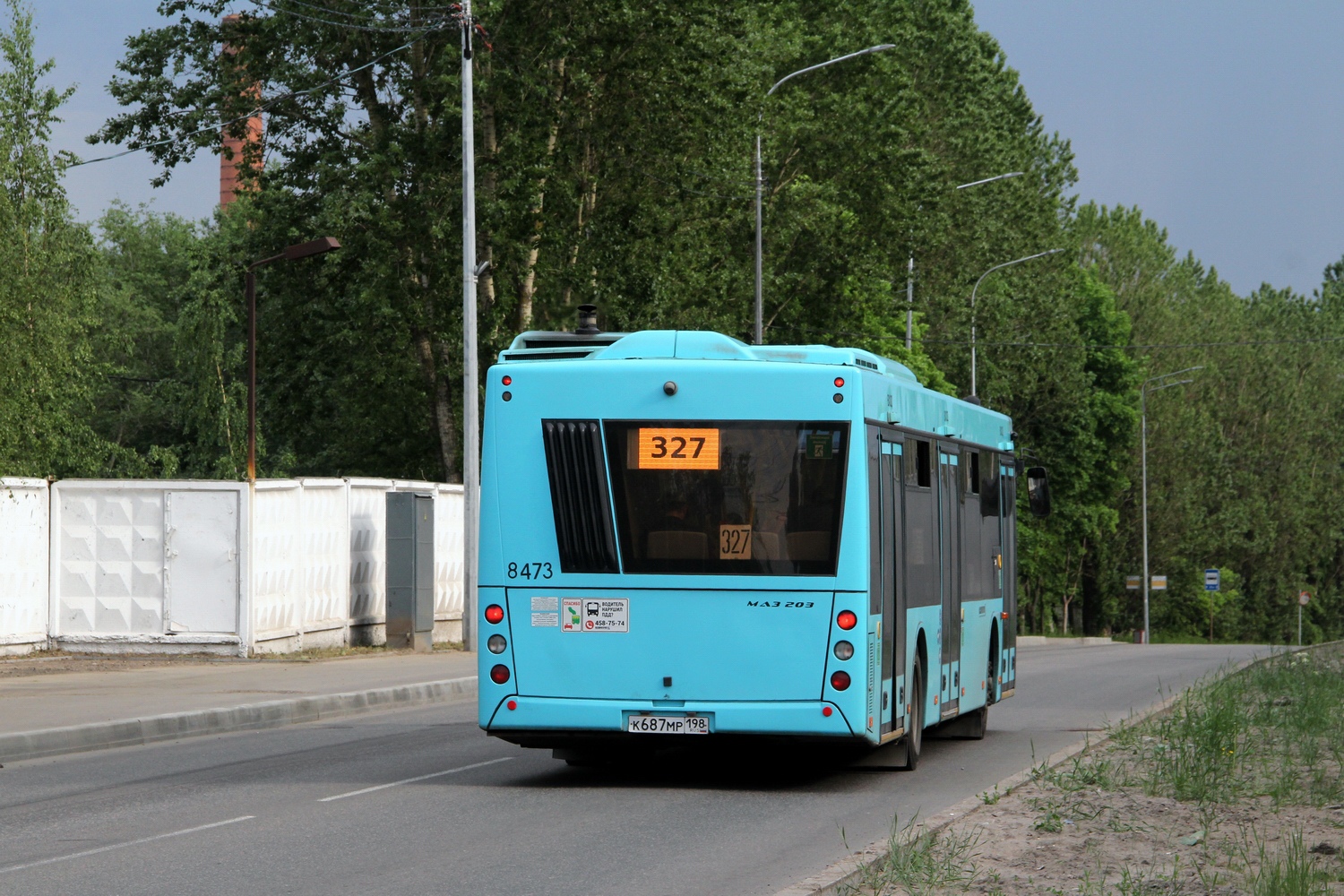 Санкт-Петербург, МАЗ-203.016 № 8473