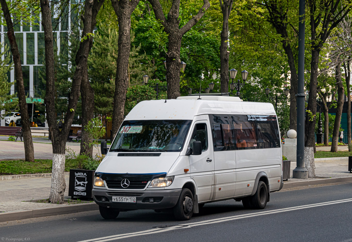 Башкортостан, Луидор-223201 (MB Sprinter Classic) № У 655 ТР 102