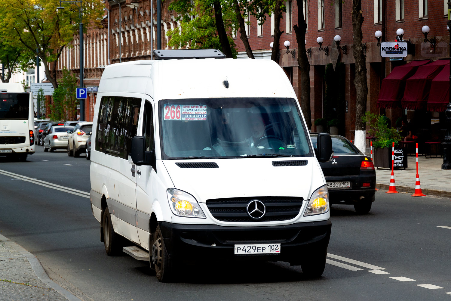 Башкортостан, Луидор-22360C (MB Sprinter) № Р 429 ЕР 102