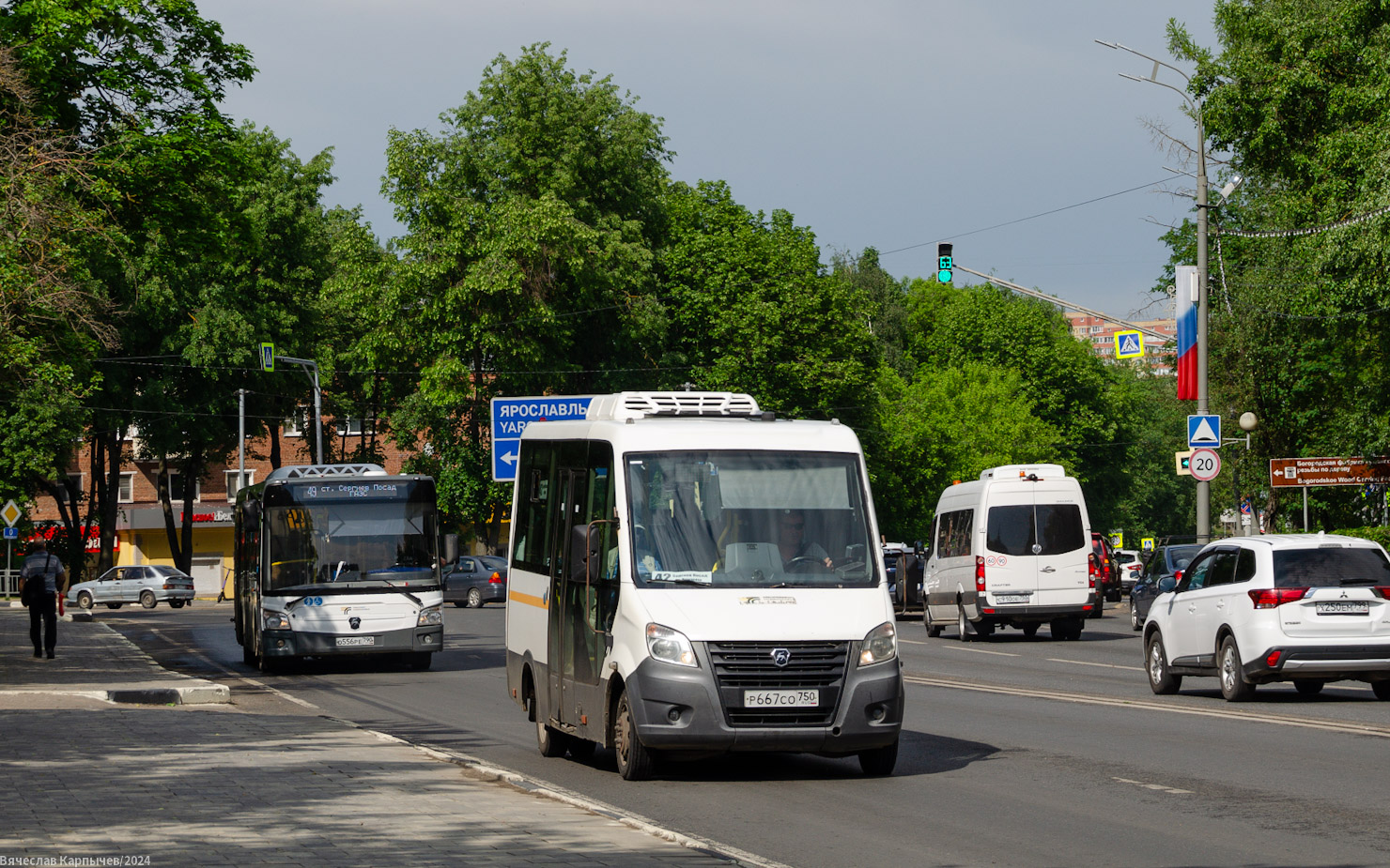 Московская область, Луидор-2250DS (ГАЗ Next) № 107667