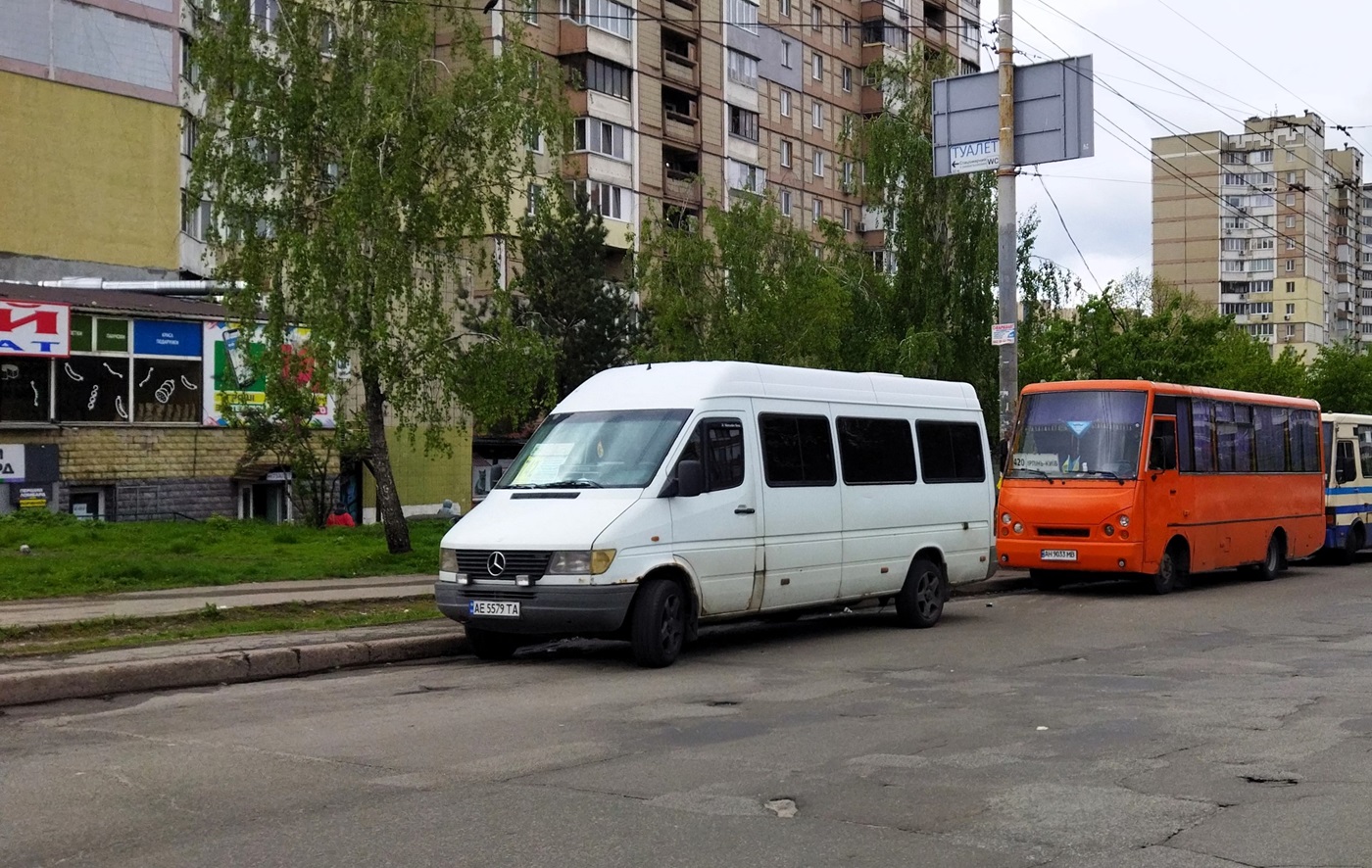 Киевская область, Mercedes-Benz Sprinter W903 312D № AE 5579 TA