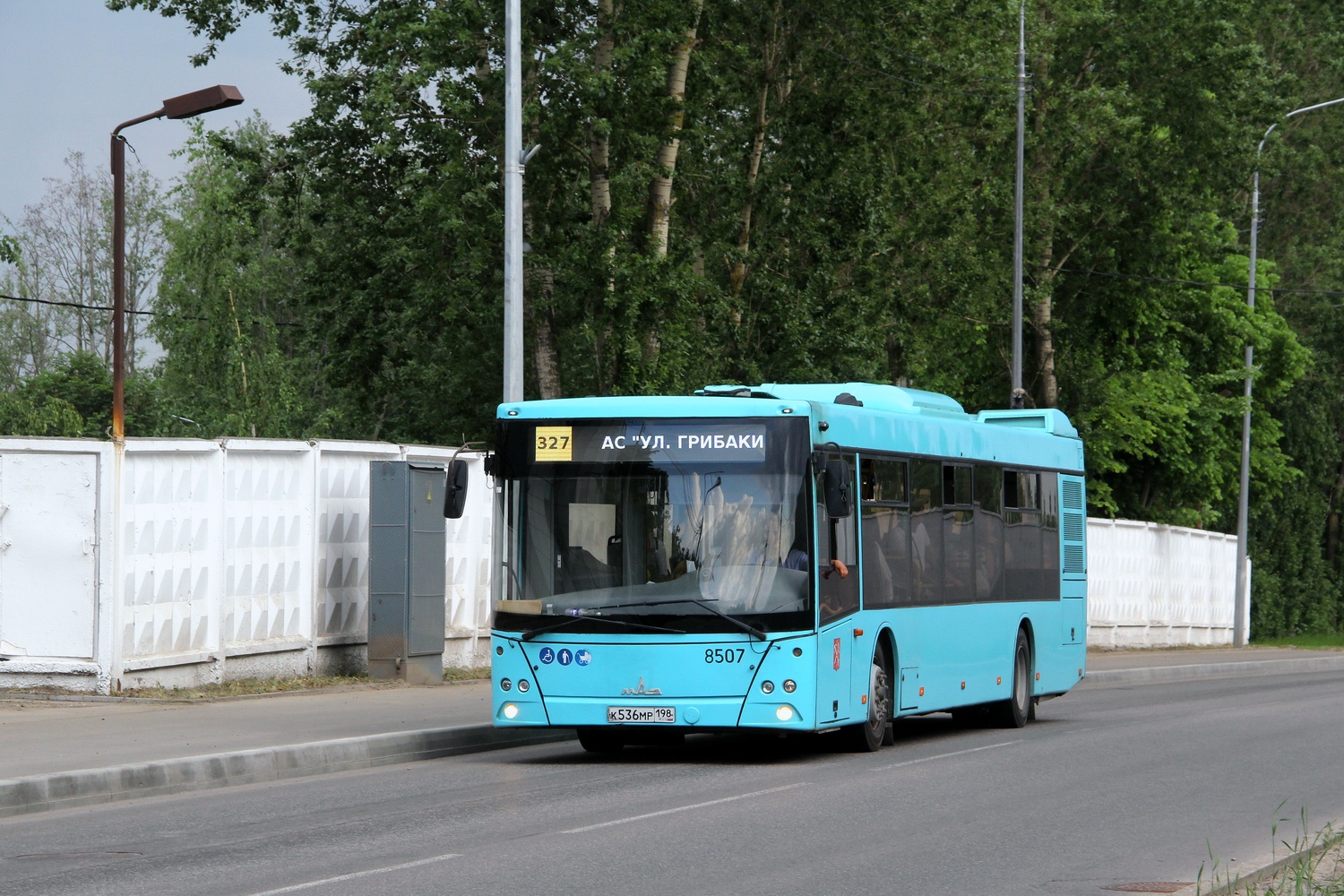 Санкт-Петербург, МАЗ-203.016 № 8507