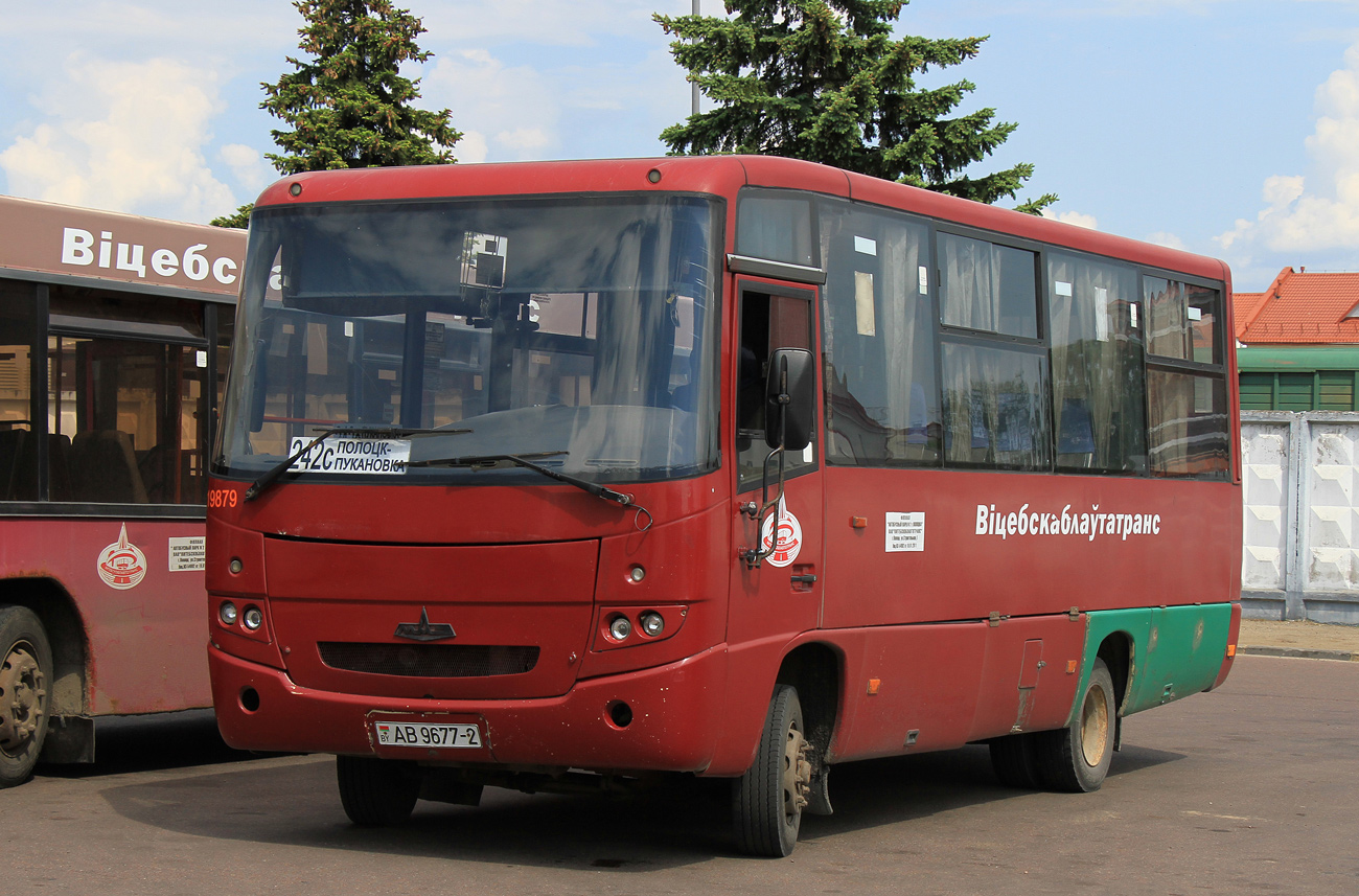 Віцебская вобласць, МАЗ-256.170 № 019879