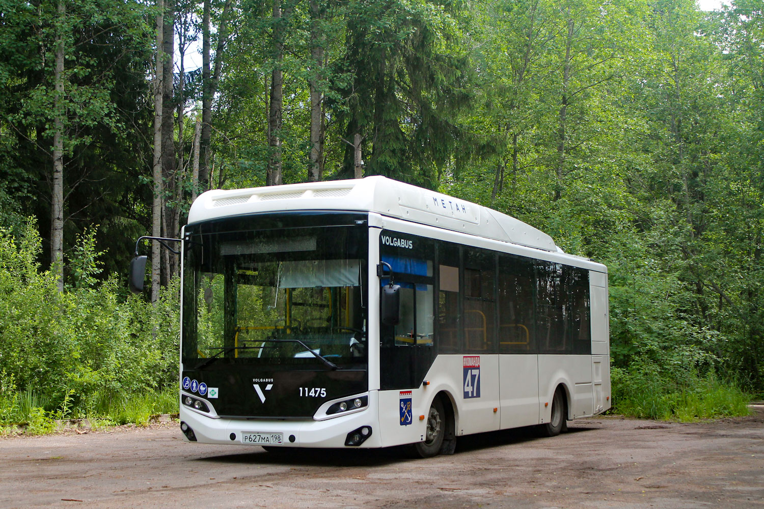 Ленинградская область, Volgabus-4298.G4 (CNG) № 11475