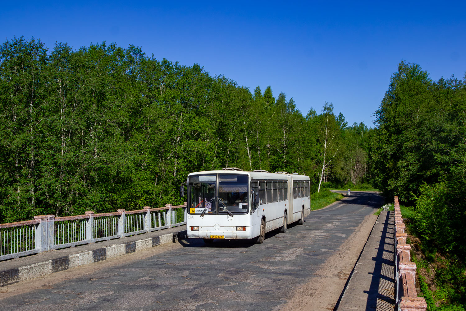 Псковская область, Mercedes-Benz O345G № 698