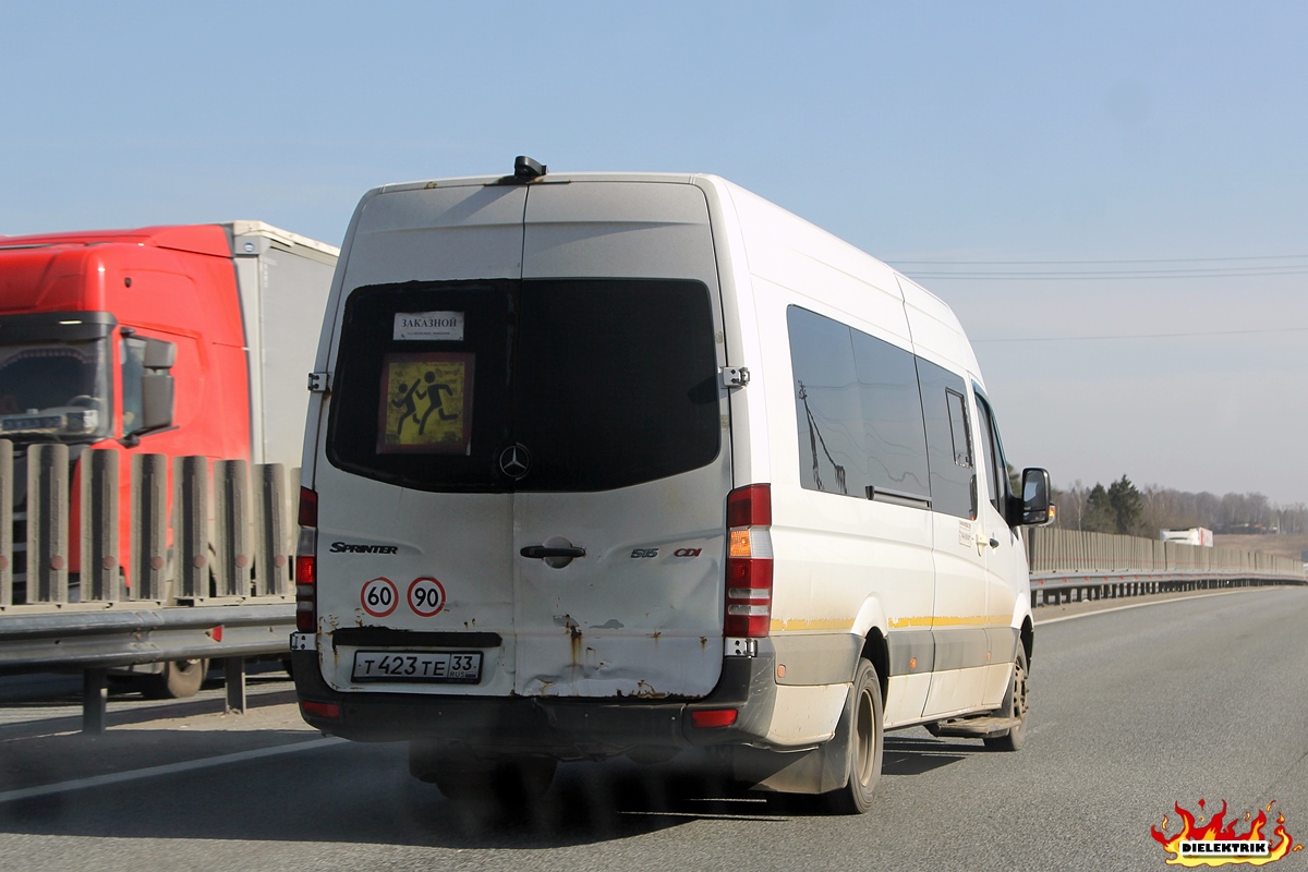 Владимирская область, Луидор-223602 (MB Sprinter) № Т 423 ТЕ 33