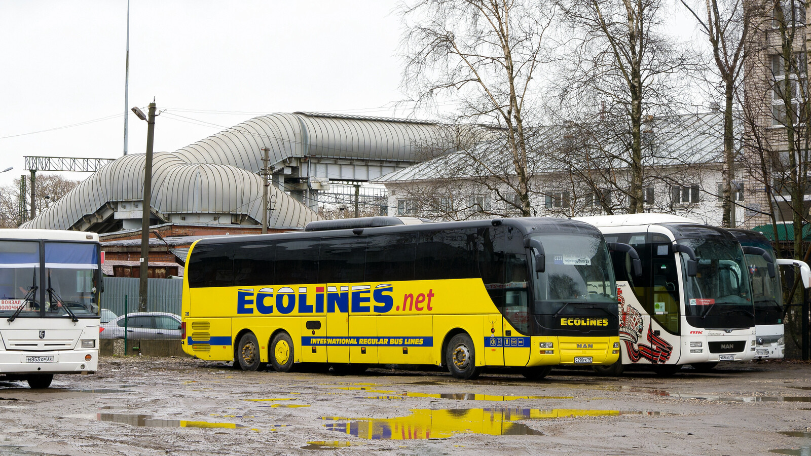 Санкт-Петербург, MAN R08 Lion's Coach L RHC444 L № 319