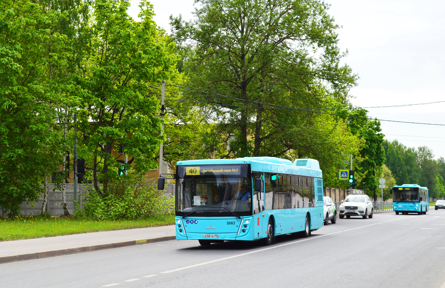 Sankt Petersburg, MAZ-203.047 Nr. 2683